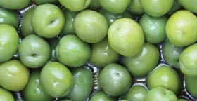 Sapori International