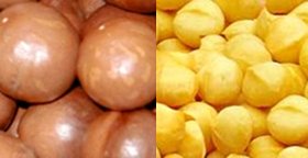Nambucca Macnuts